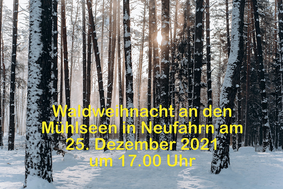 Waldweihnacht am 1. Weihnachtsfeiertag