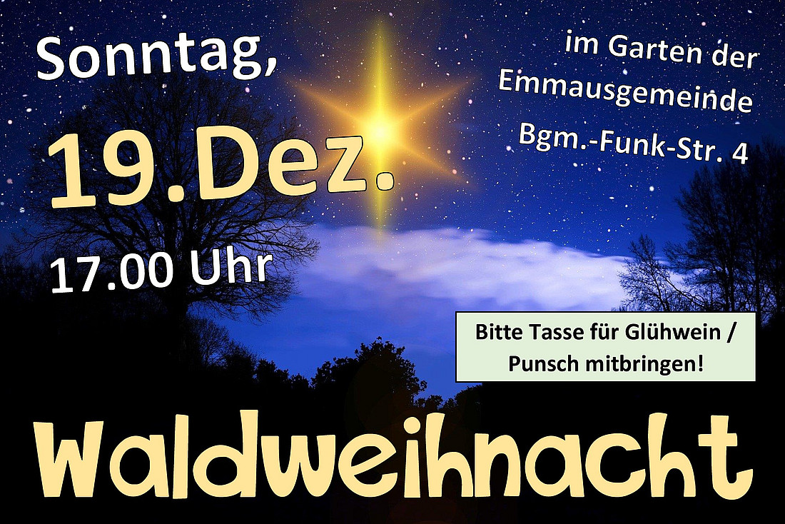 Waldweihnacht am 4. Advent