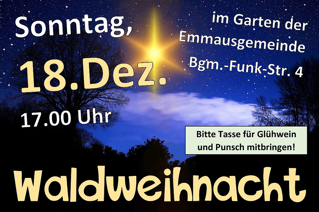 Waldweihnacht am 4. Advent